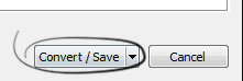 convert-save-button